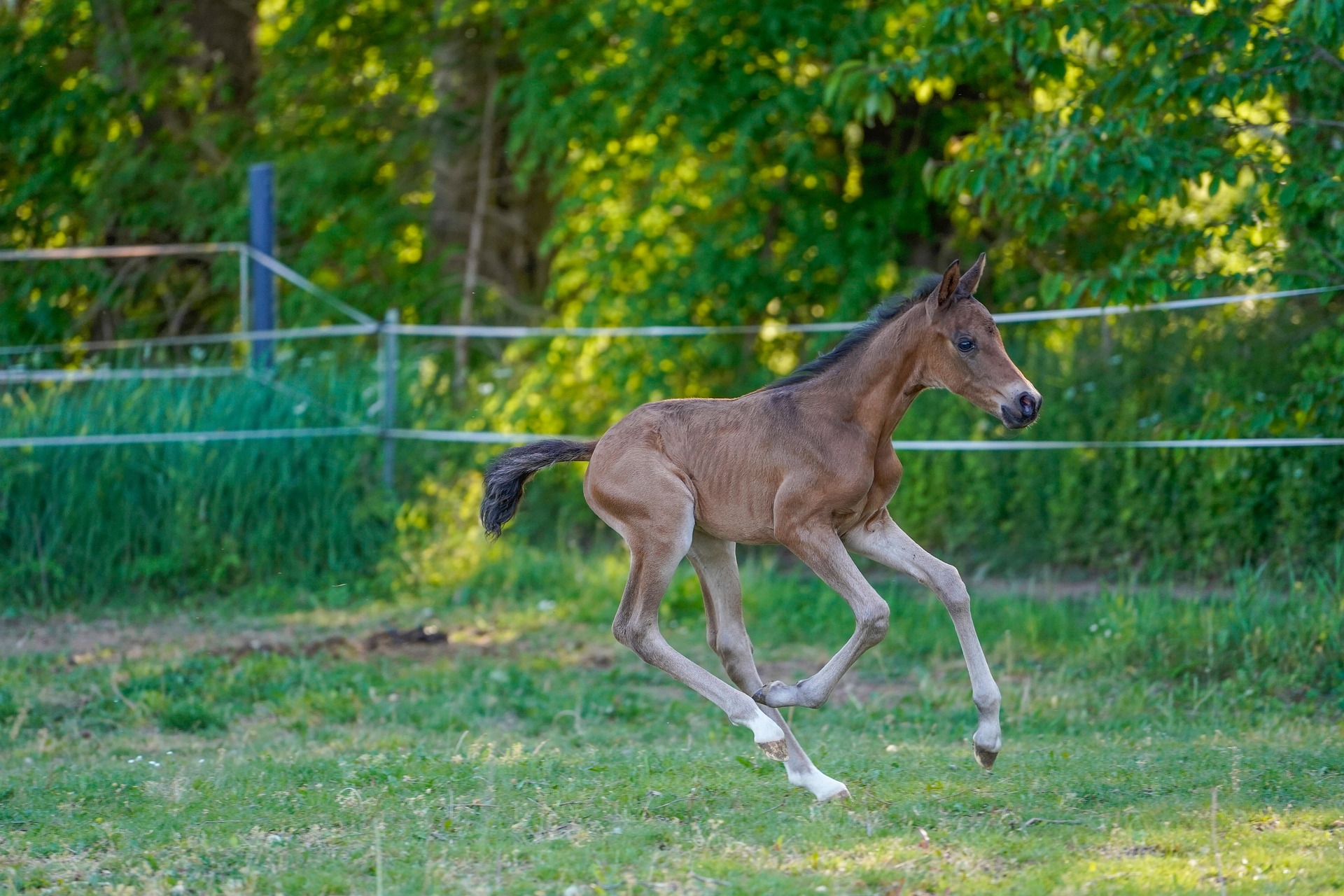 Sovereign Farming Co. Ltd. - Farming & Agricultural Services in Rosetown, Saskatchewan